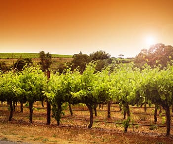 South Australia